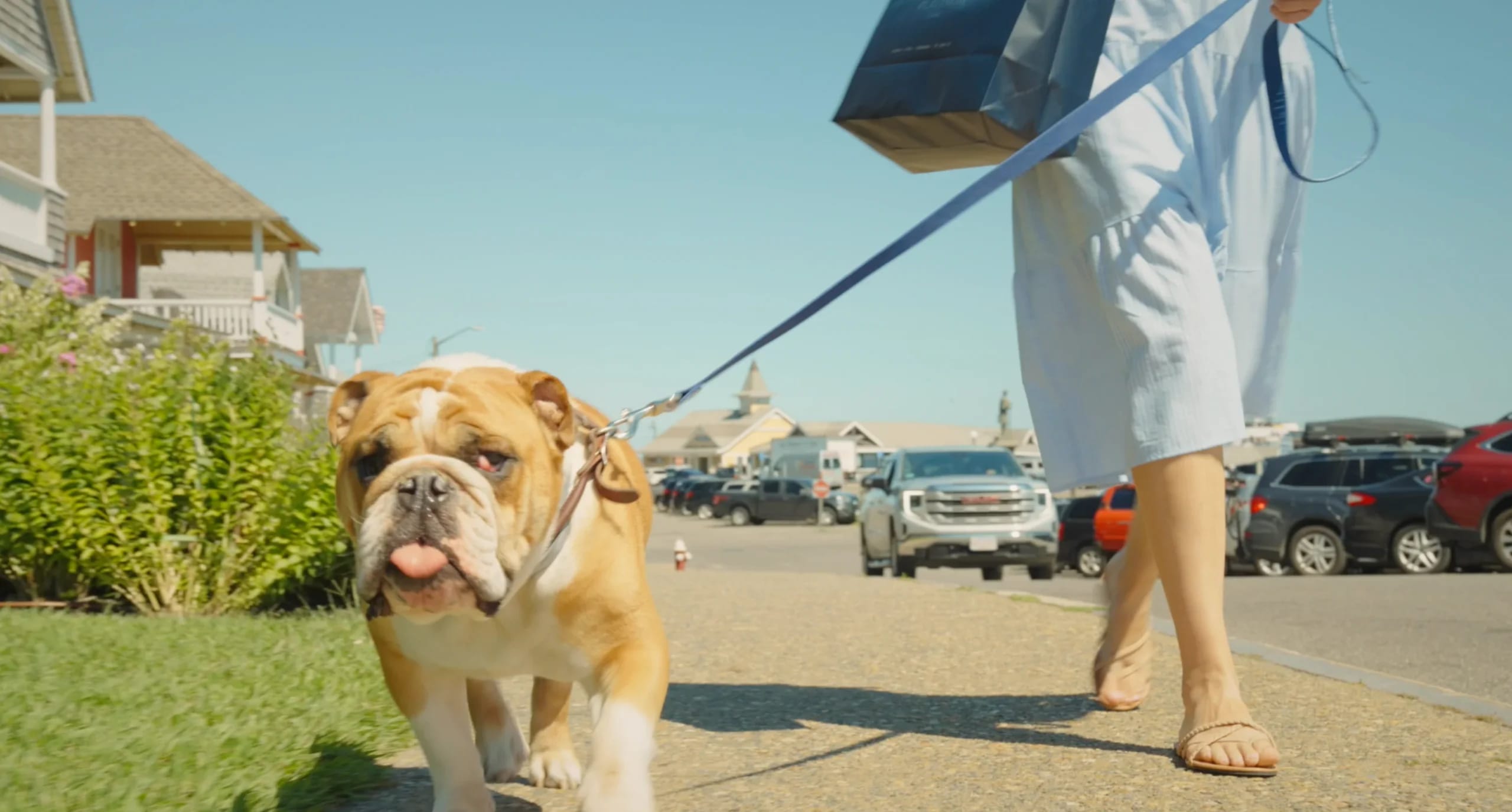 PET-FRIENDLY